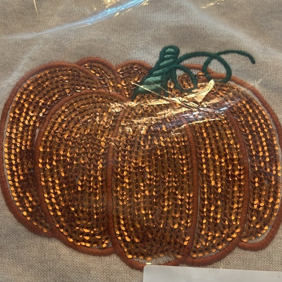 Crewcuts J. Crew Girls' Sequin Pumpkin Teddie (Soft ) Sweater Size XL 12-14 - Picture 8 of 10